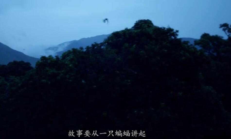 1581320940721979.jpg 1.jpg