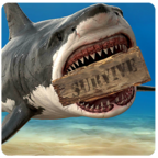 生存娱乐游戏 救生筏绿化版