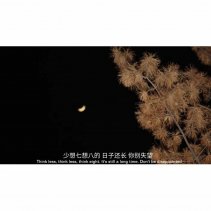 歌曲分享：秋天不回来