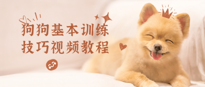 狗狗基本训练技巧视频教程