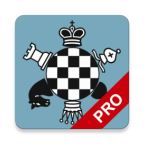 有趣的棋盘游戏 国际象棋大师