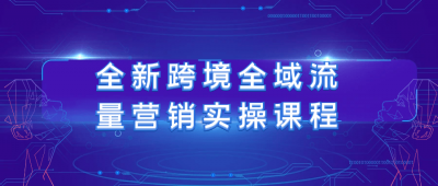 全新跨境全域流量营销实操课程
